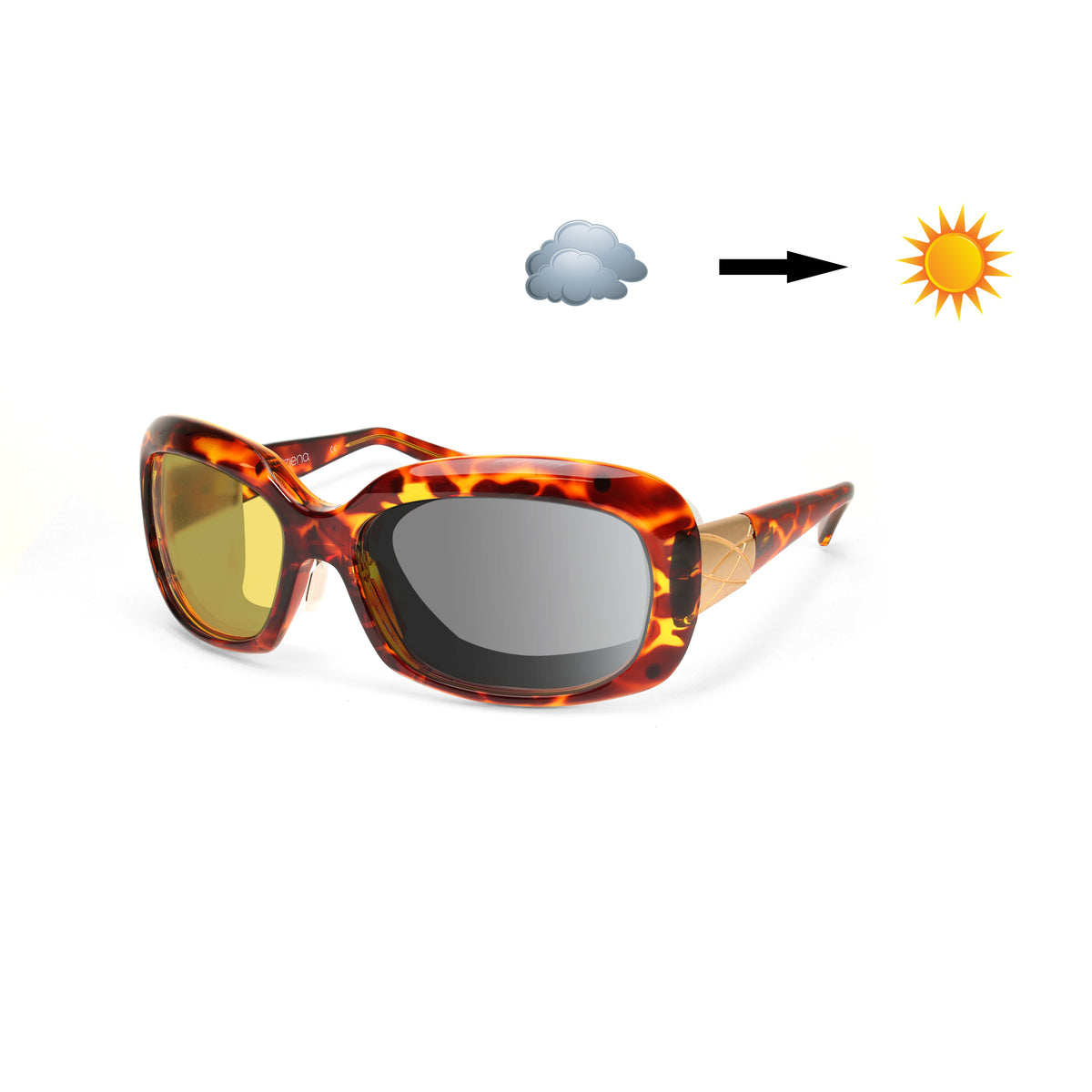 Oasis - Rx Computer / Blue Light